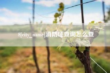 沧州消防证查询怎么查