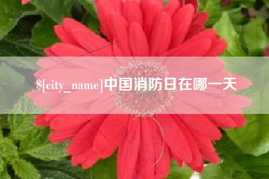 沧州中国消防日在哪一天