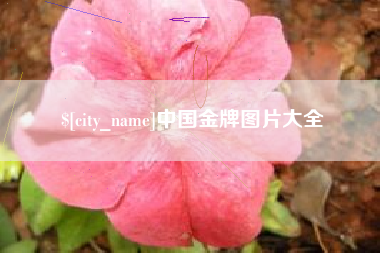 沧州中国金牌图片大全