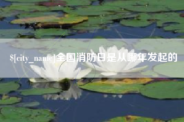 沧州全国消防日是从哪年发起的