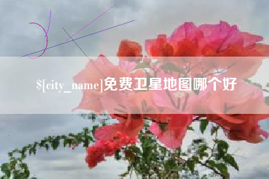 沧州免费卫星地图哪个好