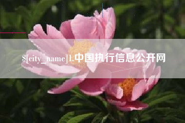 沧州1.中国执行信息公开网