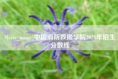 沧州中国消防救援学院2024年招生分数线