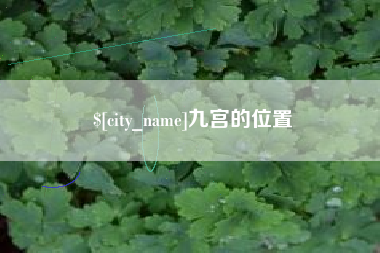 沧州九宫的位置
