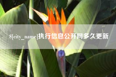 沧州执行信息公开网多久更新
