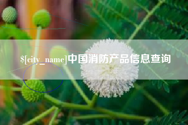 沧州中国消防产品信息查询