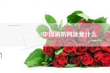 沧州中国消防网址是什么
