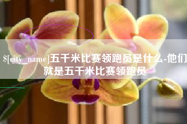 沧州五千米比赛领跑员是什么-他们就是五千米比赛领跑员