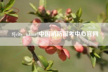 沧州中国消防报考中心官网