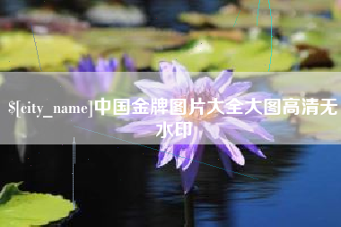 沧州中国金牌图片大全大图高清无水印