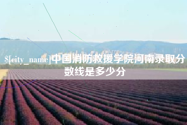 沧州中国消防救援学院河南录取分数线是多少分