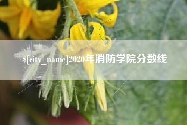 沧州2020年消防学院分数线