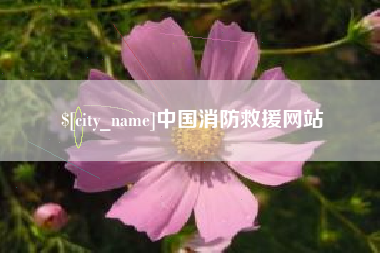 沧州中国消防救援网站