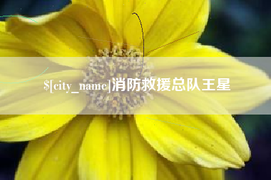 沧州消防救援总队王星
