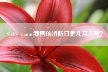 沧州我国的消防日是几月几号？