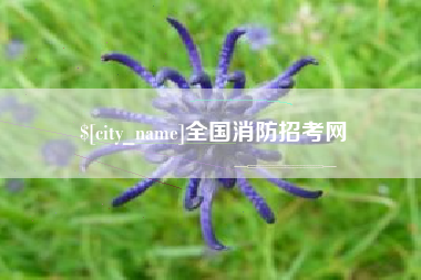 沧州全国消防招考网