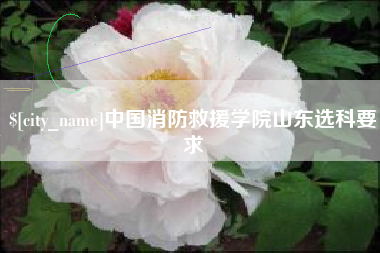 沧州中国消防救援学院山东选科要求