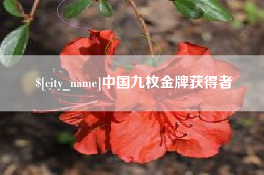 沧州中国九枚金牌获得者