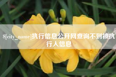 沧州执行信息公开网查询不到被执行人信息