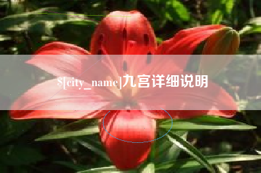沧州九宫详细说明