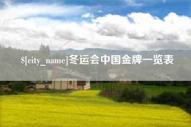 沧州冬运会中国金牌一览表