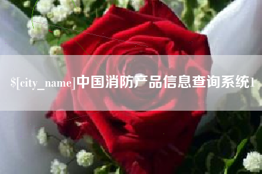 沧州中国消防产品信息查询系统1