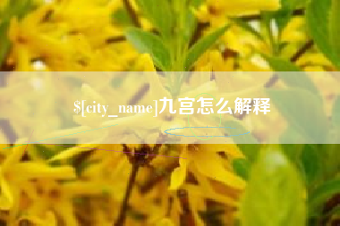 沧州九宫怎么解释