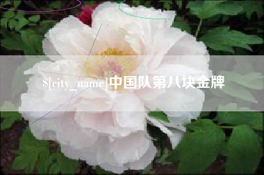 沧州中国队第八块金牌