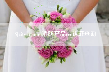 沧州消防产品ccc认证查询