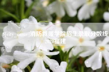 沧州消防救援学院招生录取分数线2020福建