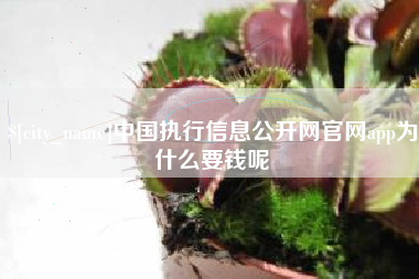 沧州中国执行信息公开网官网app为什么要钱呢