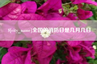 沧州全国的消防日是几月几日