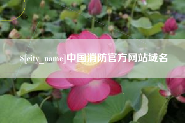 沧州中国消防官方网站域名