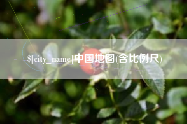 沧州中国地图(含比例尺)