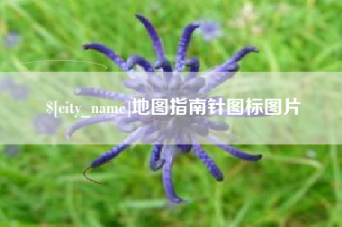 沧州地图指南针图标图片