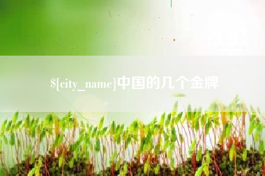 沧州中国的几个金牌