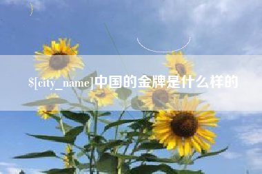 沧州中国的金牌是什么样的