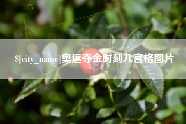 沧州奥运夺金时刻九宫格图片