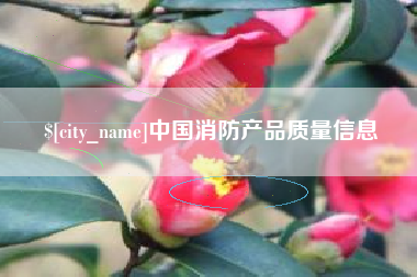 沧州中国消防产品质量信息