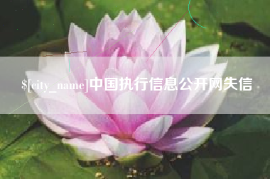 沧州中国执行信息公开网失信
