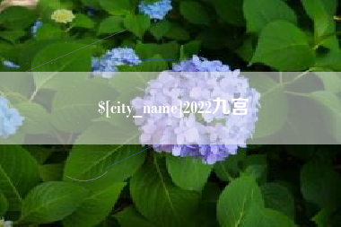 沧州2022九宫