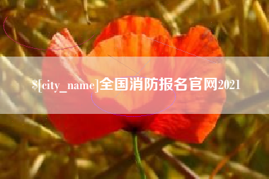 沧州全国消防报名官网2021