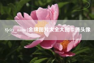 沧州金牌图片大全大图卡通头像
