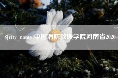 沧州中国消防救援学院河南省2020